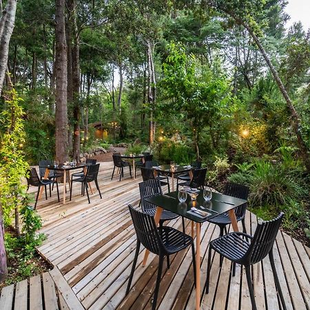 Rakau Lodge Pucon Exterior photo