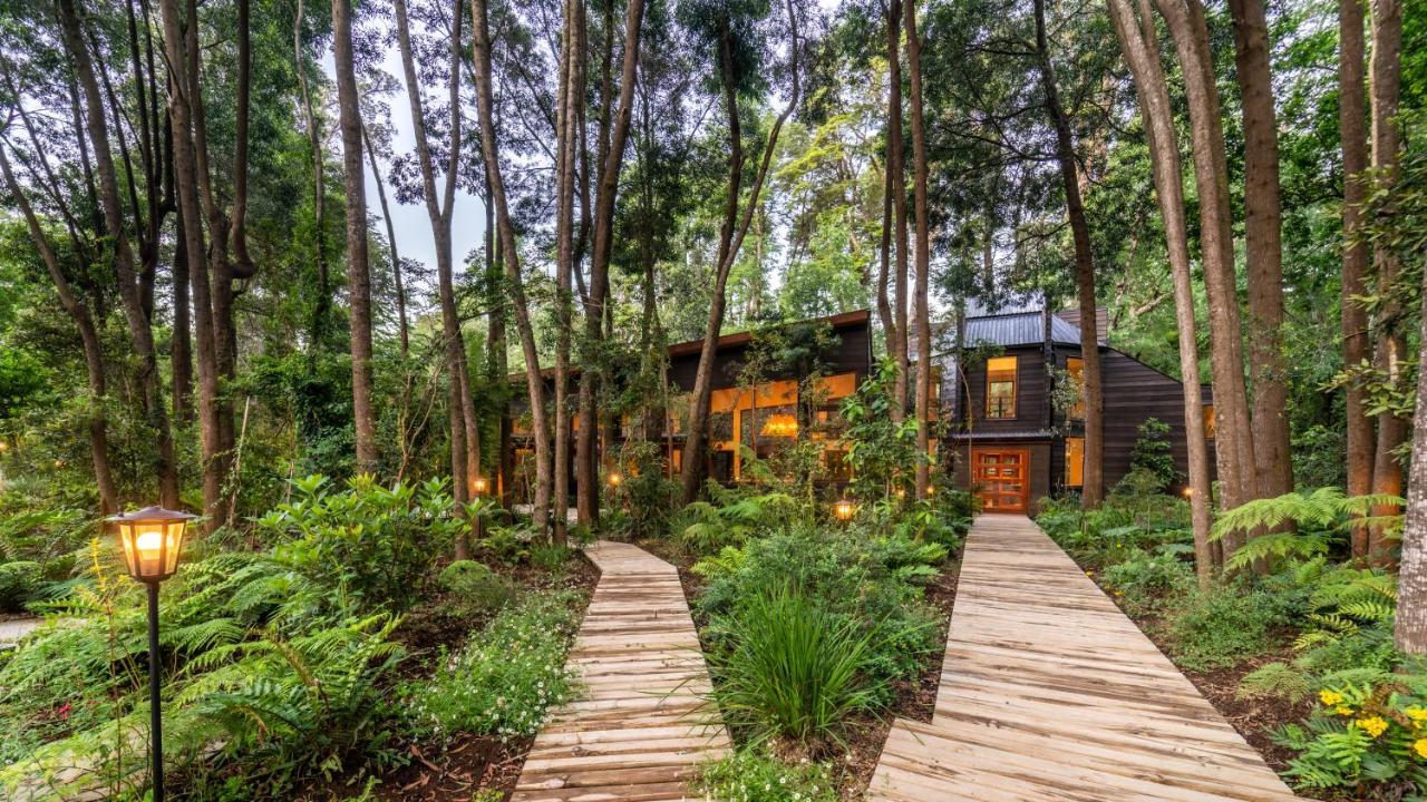 Rakau Lodge Pucon Exterior photo