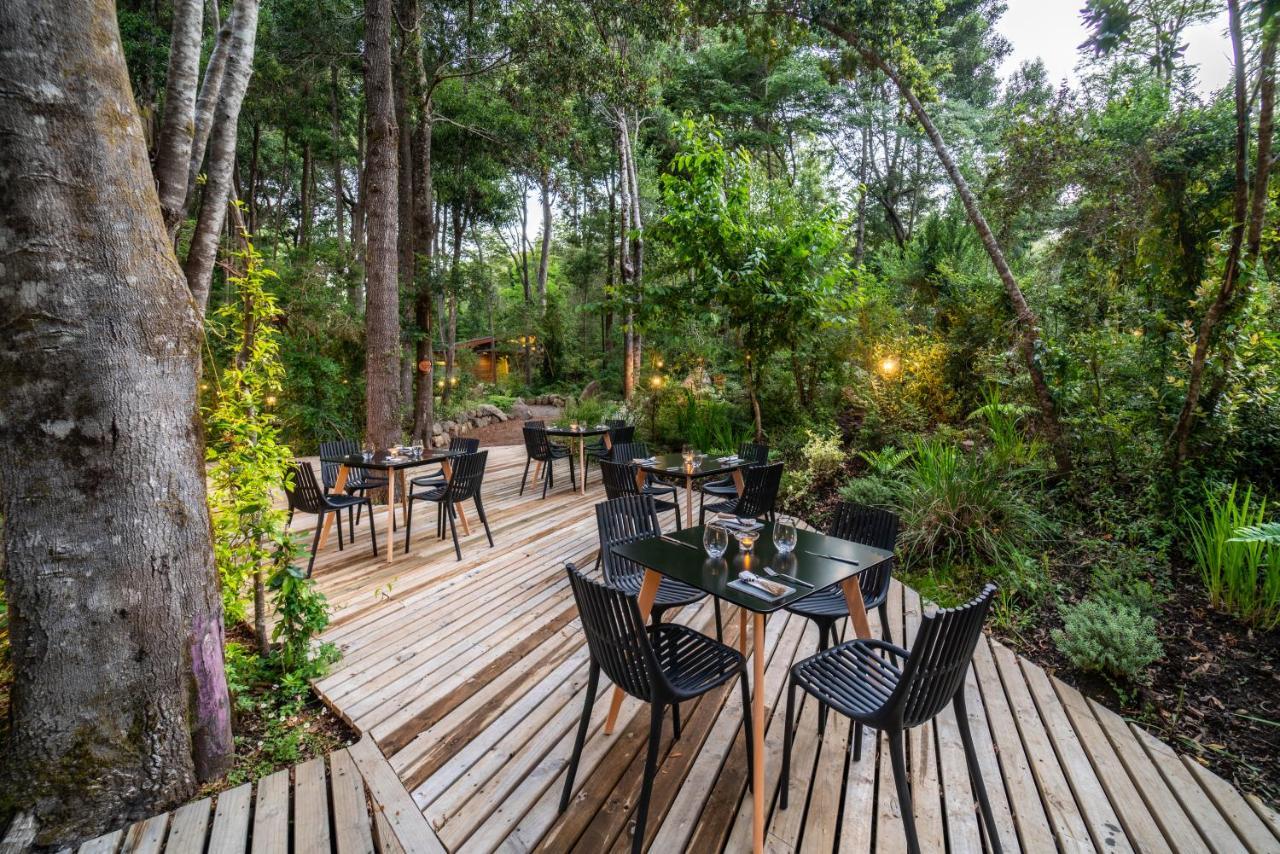 Rakau Lodge Pucon Exterior photo